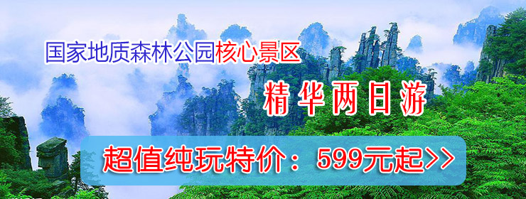山東岱東人力資源管理有限公司 