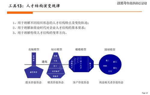 杨少杰 新组织设计工具大全 2021